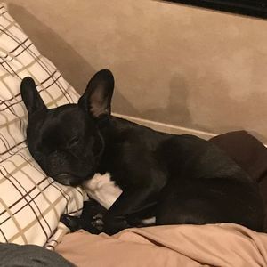 Meet your Posher, Bobbi